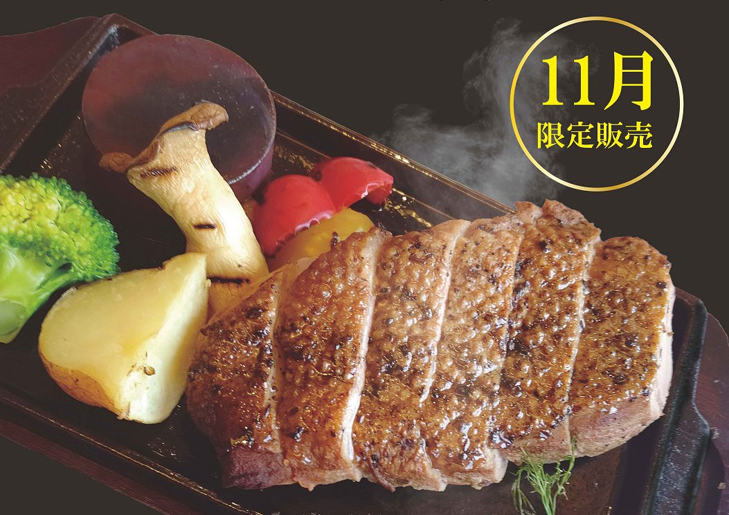 11月限定フェア開催中！！